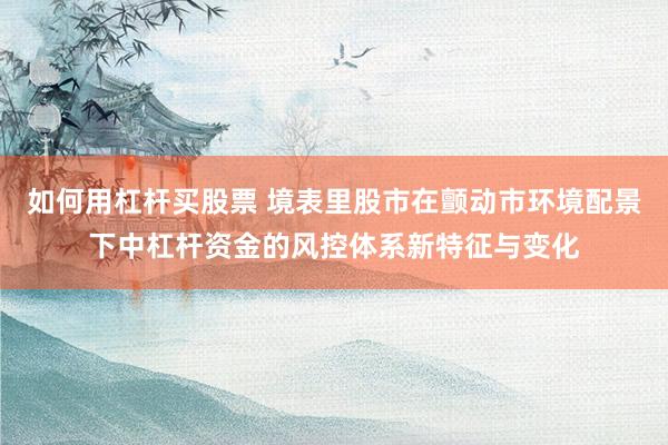 如何用杠杆买股票 境表里股市在颤动市环境配景下中杠杆资金的风控体系新特征与变化