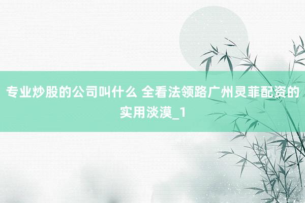 专业炒股的公司叫什么 全看法领路广州灵菲配资的实用淡漠_1